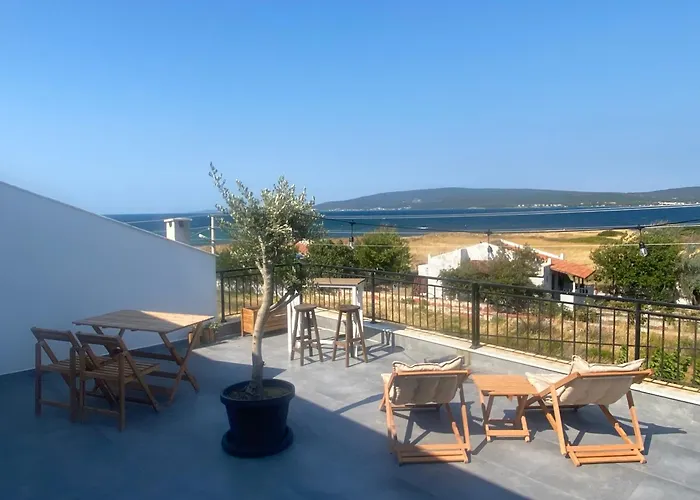 Kite & Wing Ferrodise *