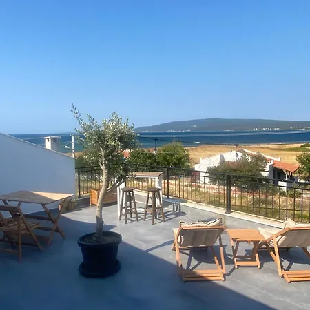 Kite & Wing Ferrodise *