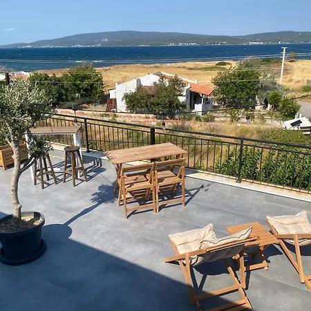 Kite & Wing Ferrodise * Urla