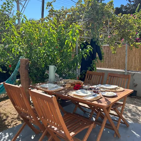 Kite & Wing Ferrodise *