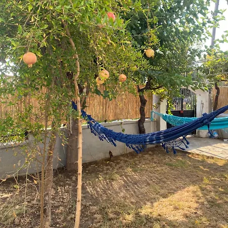 Kite & Wing Ferrodise *