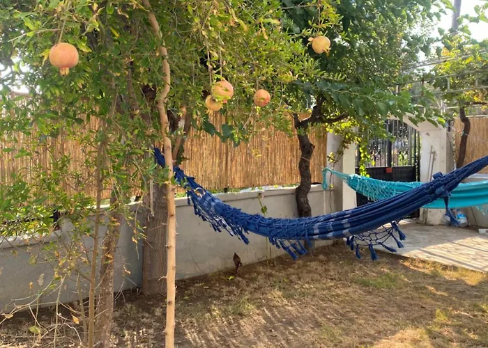 Kite & Wing Ferrodise *