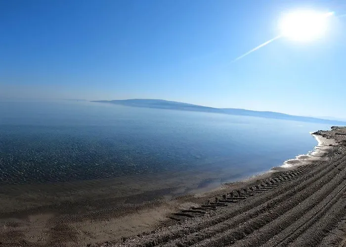 Kite & Wing Ferrodise